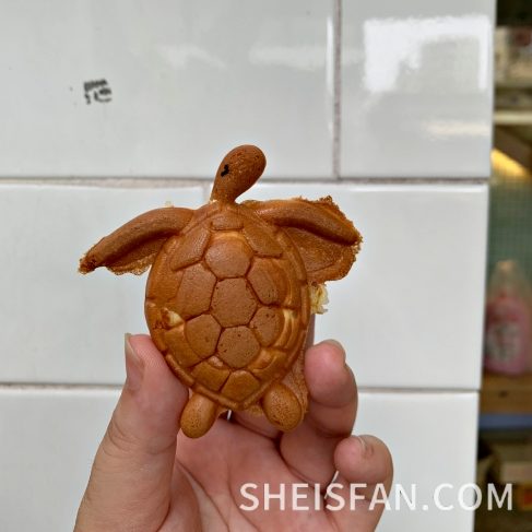 小琉球美食｜861DAYDAY 海龜燒｜小琉球必吃的特色美食 超萌海龜燒雞蛋糕